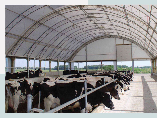 Тентовые коровники в Мариинске